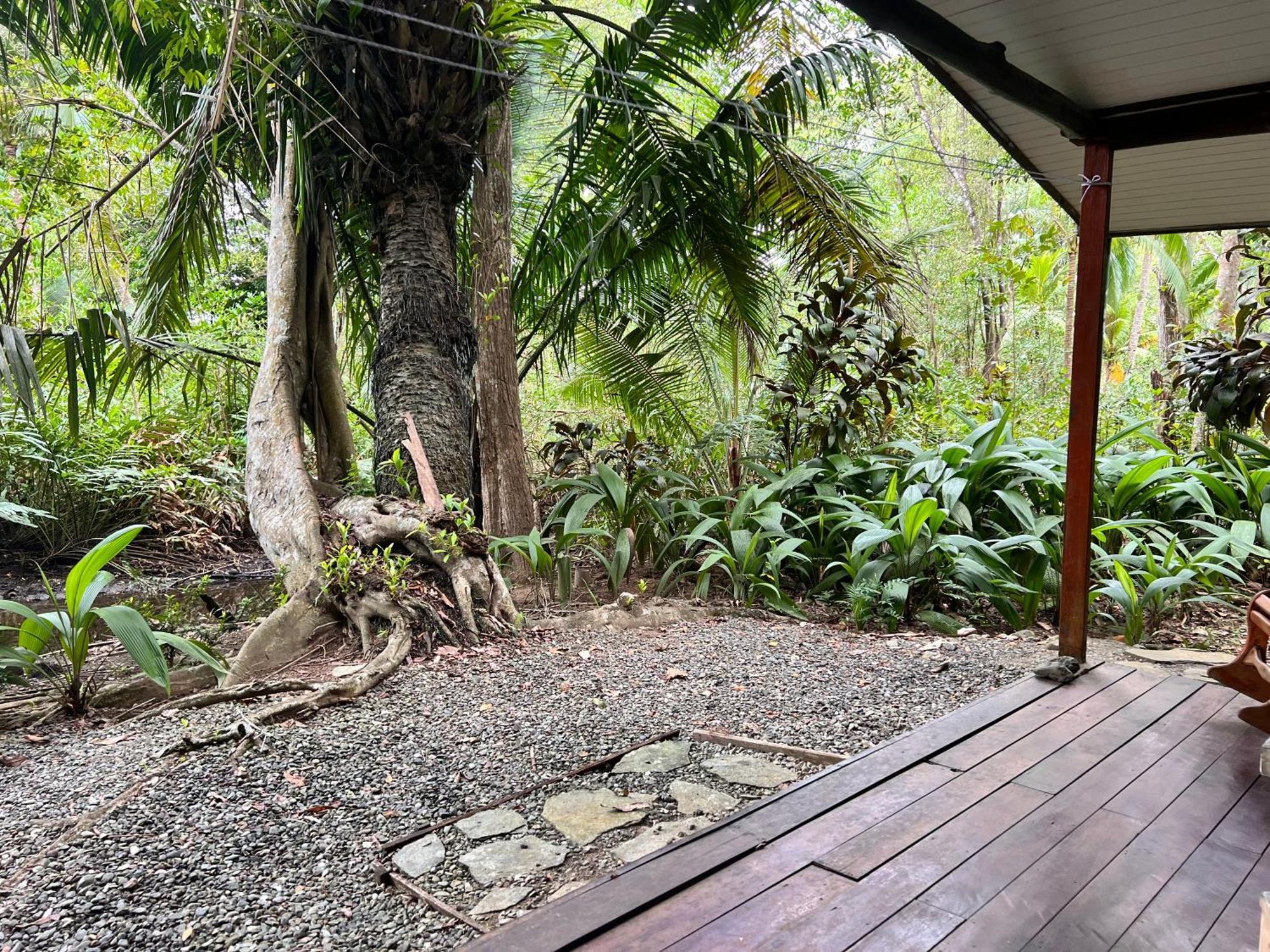 Chosa Manglar Nature Hotel Puerto Jiménez Exterior foto